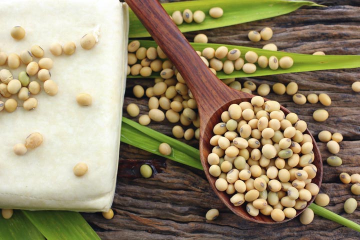 soy bean 2