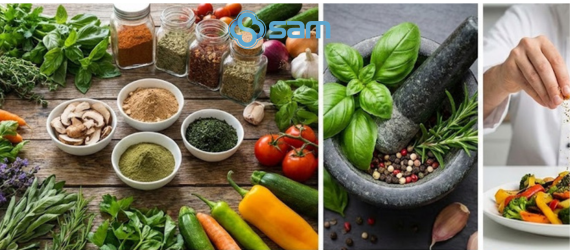 Gia vị có nguồn gốc thực vật: Tổng quan, lợi ích và ứng dụng trong thực phẩm hiện đại